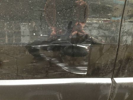 Царапины и вмятины на двери Honda CR-V до ремонта и локальной покраски